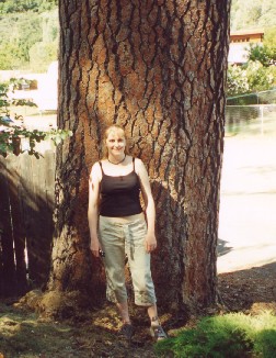 Big Tree1