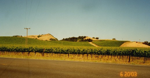 Napa1
