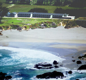 BeachComber ~ Above