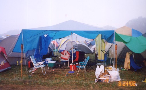 Our Site